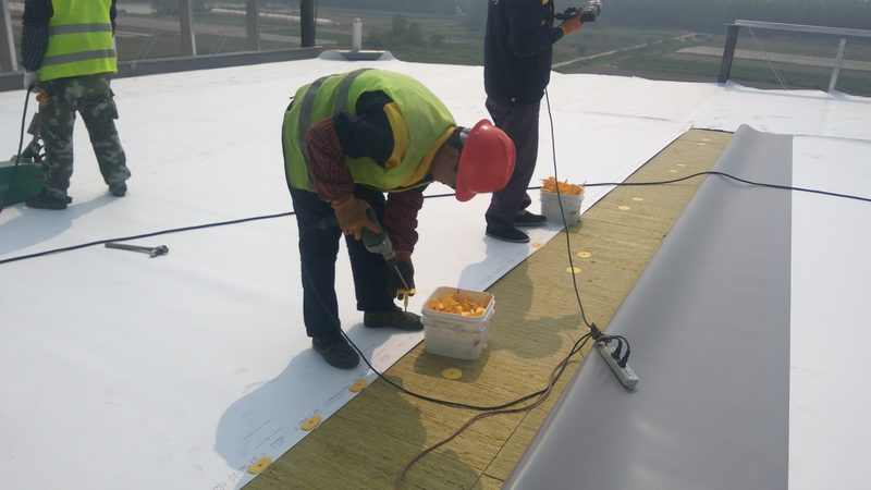 外墙保温材料检测报告：挤塑板性能解析**